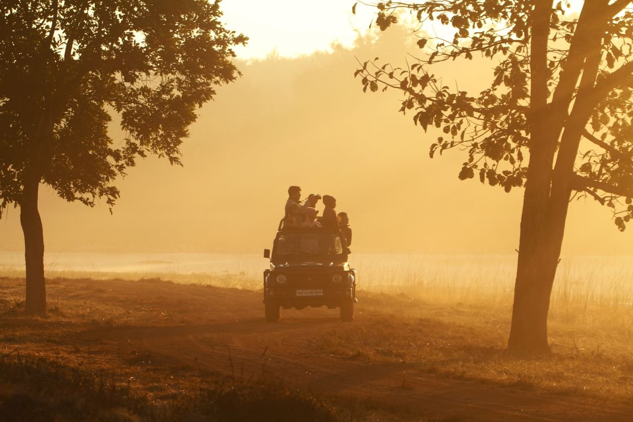 Silhouetted group enjoying an early morning safari in a rugged vehicle amidst scenic sunrise.