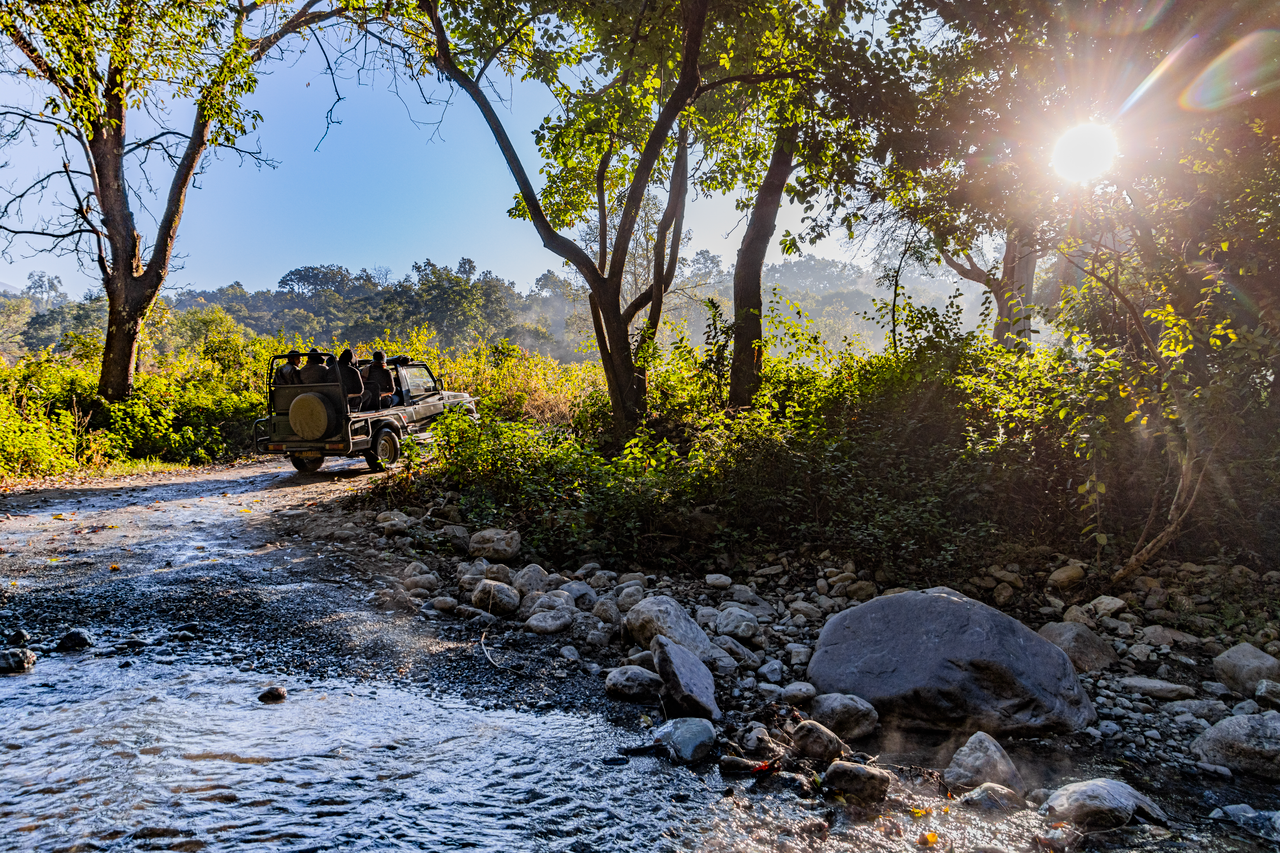 services-04 Stunning morning view of a jeep on a safari trail in Uttarakhand, India, surrounded by lush trees and sunlight.