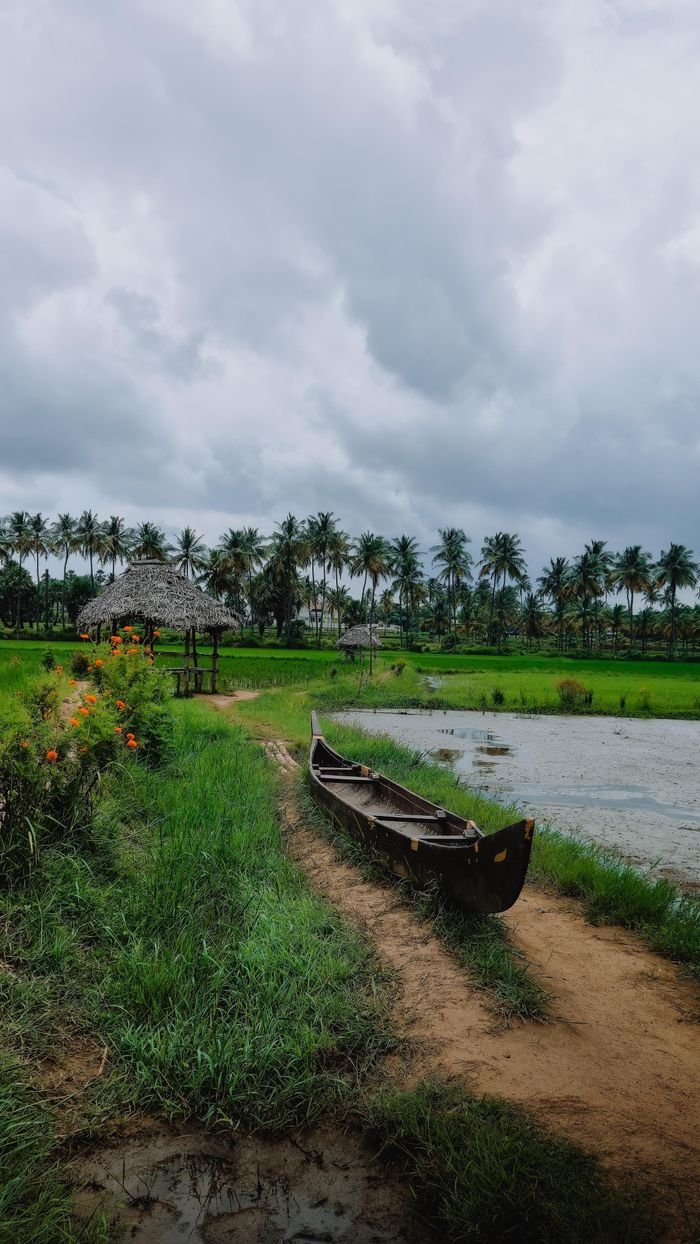 Scenic view of a traditional Kerala landscape featuring a fishing boat by a freshwater pond and lush greenery.